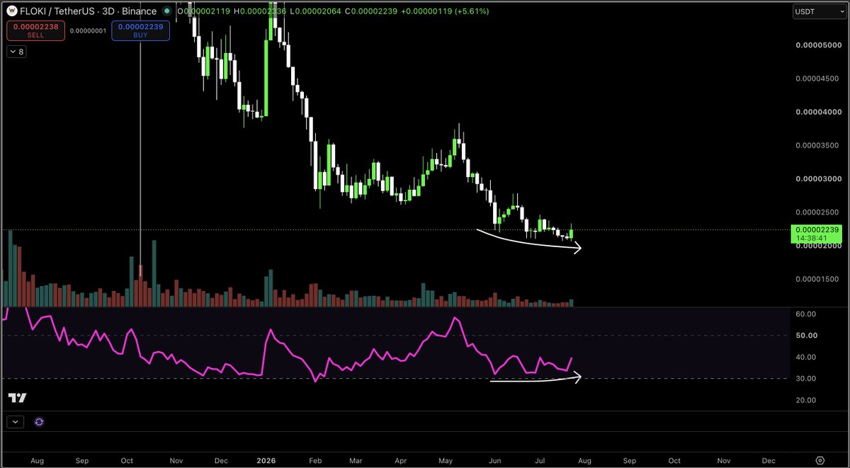 MacroCRG's tweet photo. $FLOKI https://t.co/u61DFZ7mIf