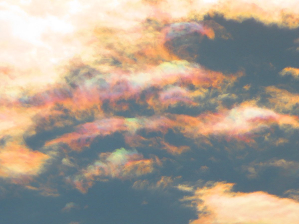 arakencloud's tweet photo. 彩雲が出ていました。 https://t.co/Oj7PVxR5fm
