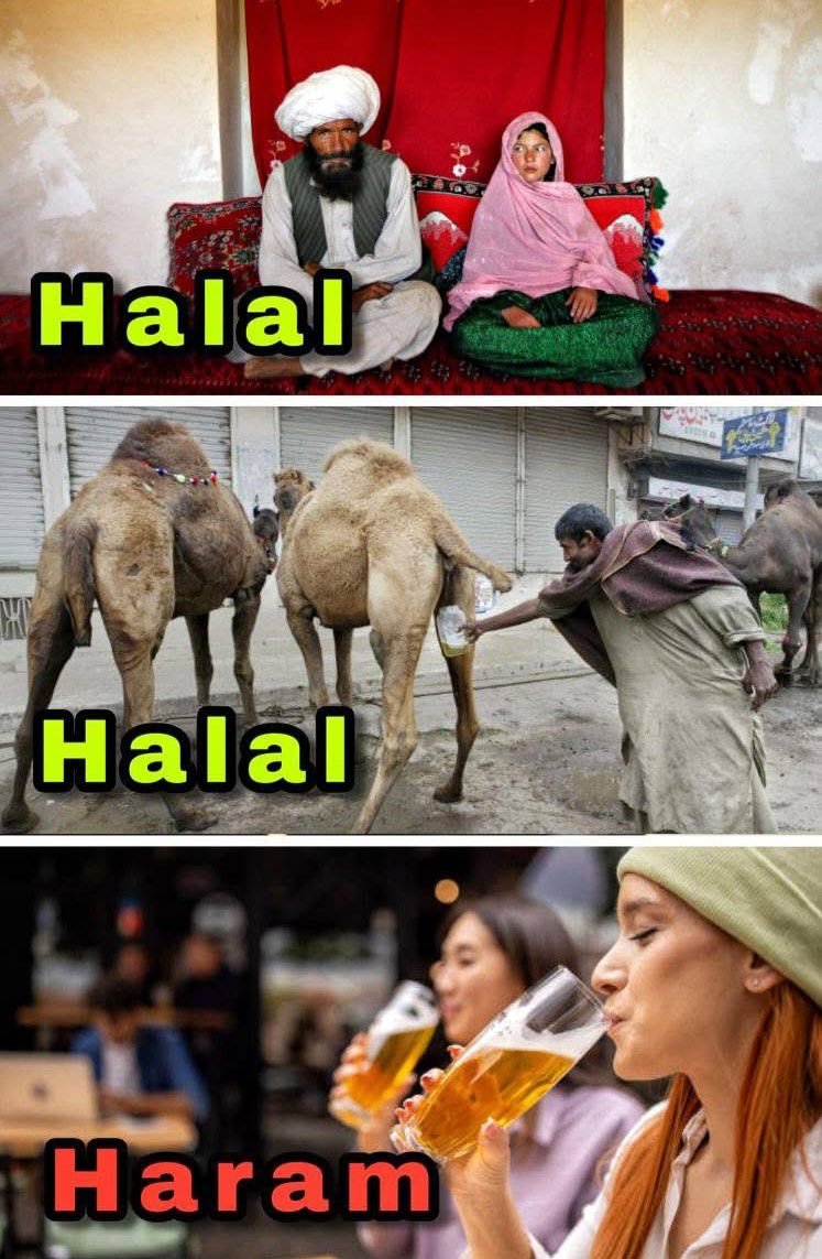 speakUp34's tweet photo. Halal and Haram https://t.co/JGi7ee7EQQ