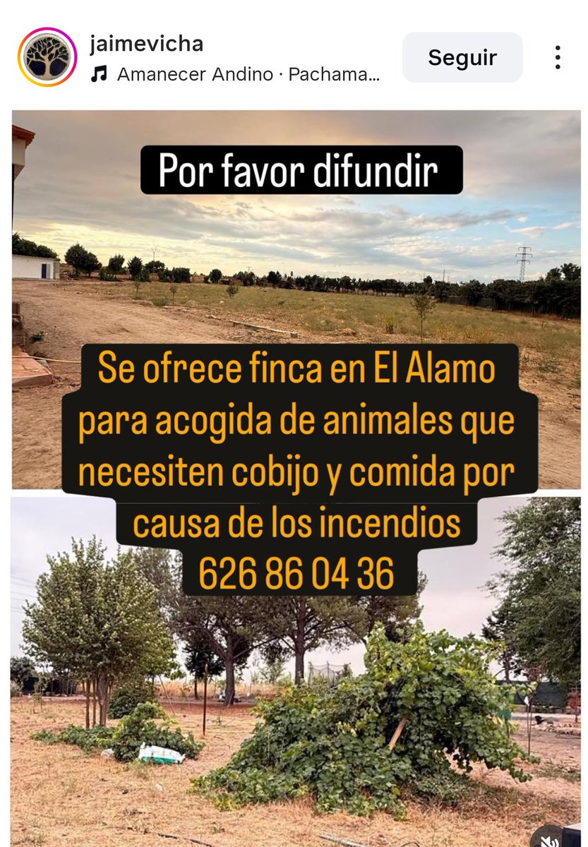 SOS Salvando Vidas España. tweet media
