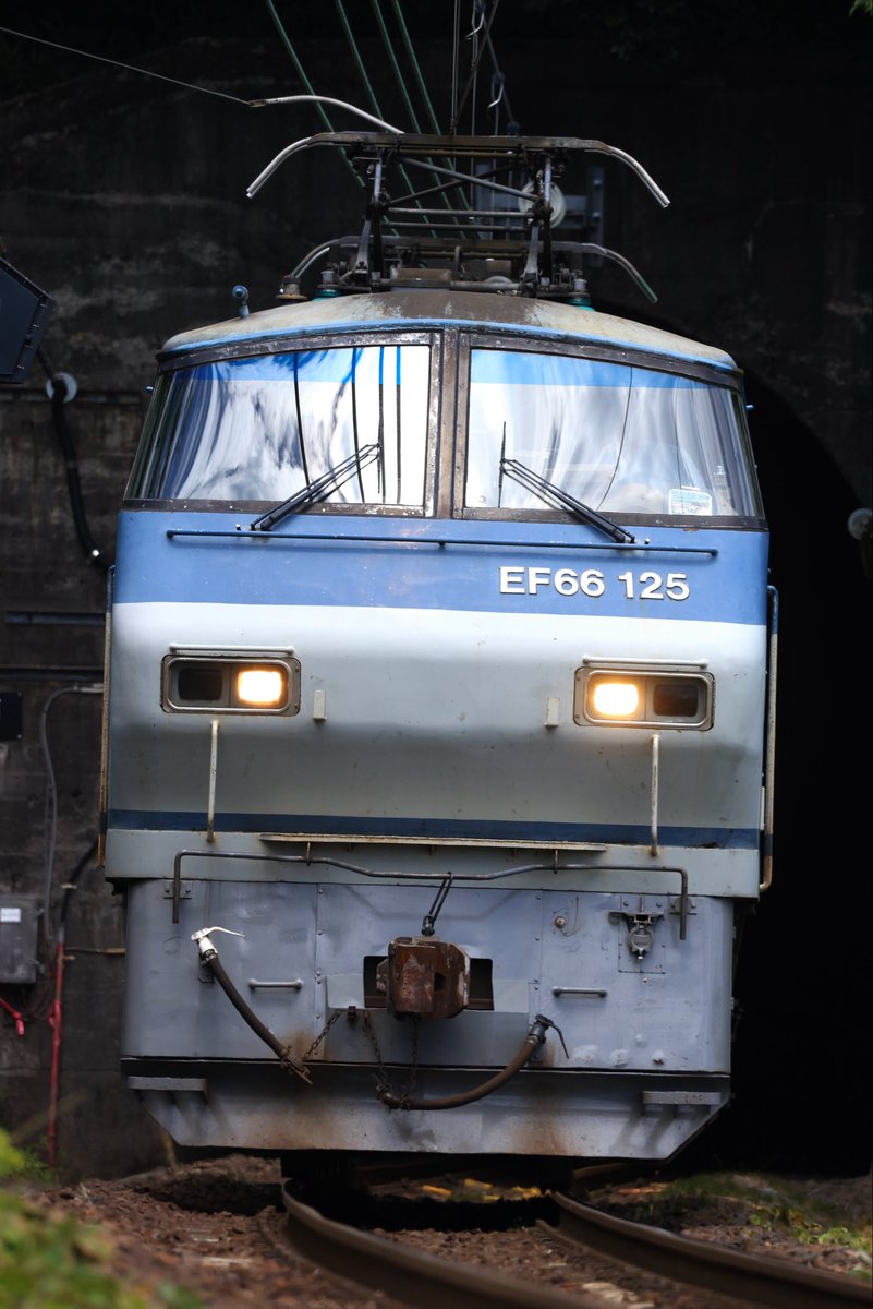 border_guard_2's tweet photo. 2026/7/26
8865  EF66  125
単機との事でしたので、面縦でドカンと狙ってみました。 https://t.co/bl8ENkZi9O