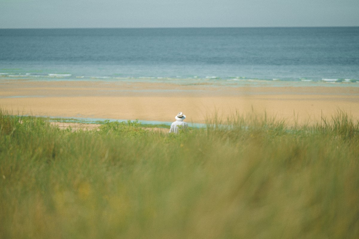 francediplo_EN's tweet photo. 🇫🇷 France adds two new UNESCO World Heritage Sites: the Normandy D-Day Landing Beaches and the Royal Fortresses of Languedoc.

Two places. Two chapters of French history. One shared heritage. 🌍 https://t.co/jksi4DBFxw