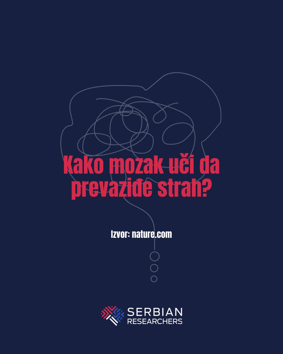 SRB_Researchers's tweet photo. 📢 Da li znate…

🧠 …kako mozak potiskuje strah i uči da prevaziđe instinktivne reakcije?

📖 Čitajte više na: https://t.co/4qd6KnjGEv https://t.co/YCeo39fPVj