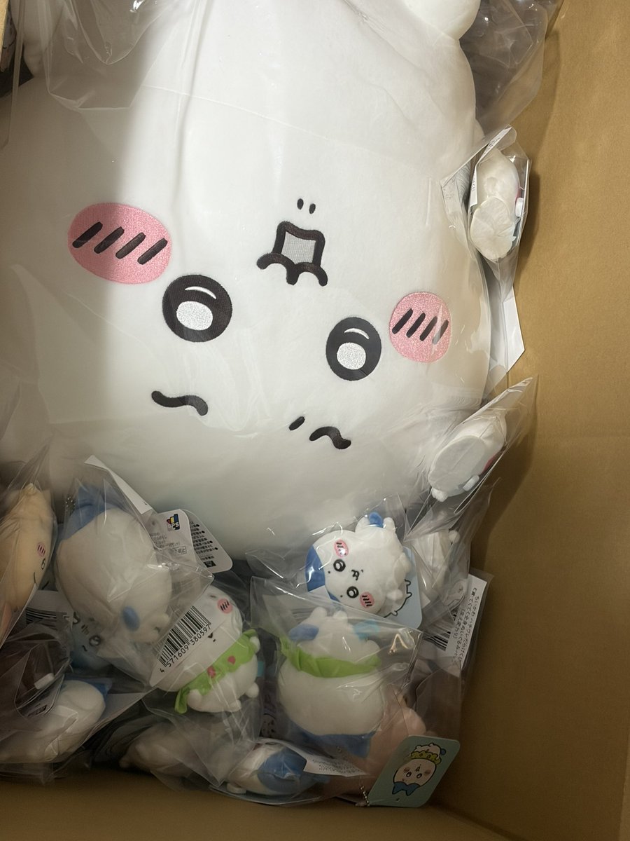 uiOxOusa's tweet photo. ハチワレだらけくじとちいかわだらけくじがとんでもないことに…。
ハチワレだらけは本当に被りも酷いし上位全然出なかった😢
唯一の上位はちいちゃんのAだけ…当時すごい苦い顔したなあ😂 https://t.co/nug8XeVzKO