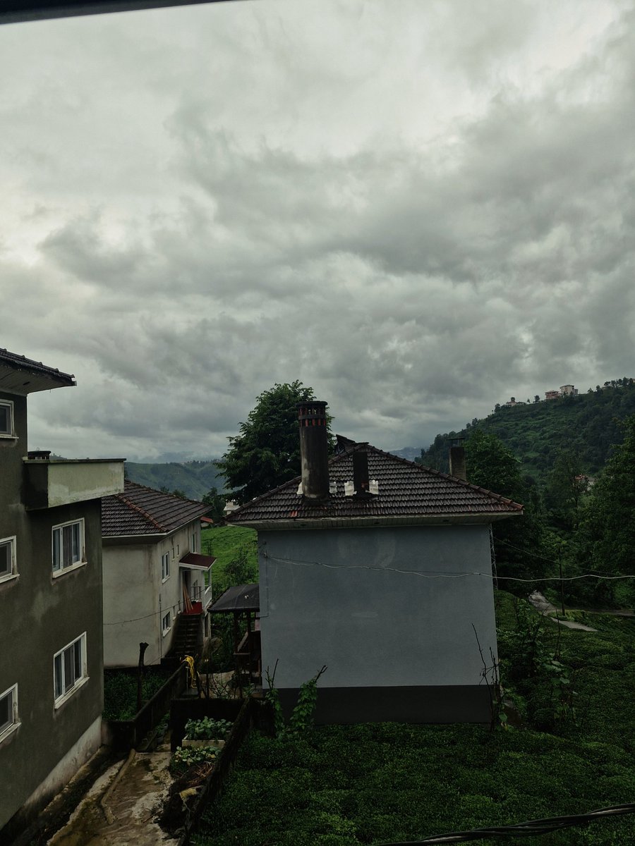 nazardoesexit's tweet photo. Karadeniz puslidur https://t.co/m0uuIlz7oi