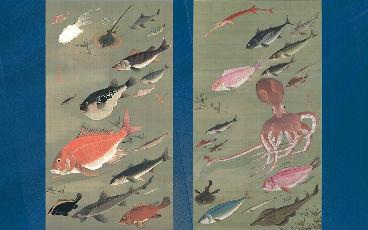 MUNIJapanStudio's tweet photo. A silent universe beneath the tide. Discover the hidden harmony of Jakuchū’s marine masterpiece. ➔ https://t.co/5hmRtZZkC0

#JapaneseArt #Ukiyoe #Jakuchu #EdoArt https://t.co/xkPnDdIblu