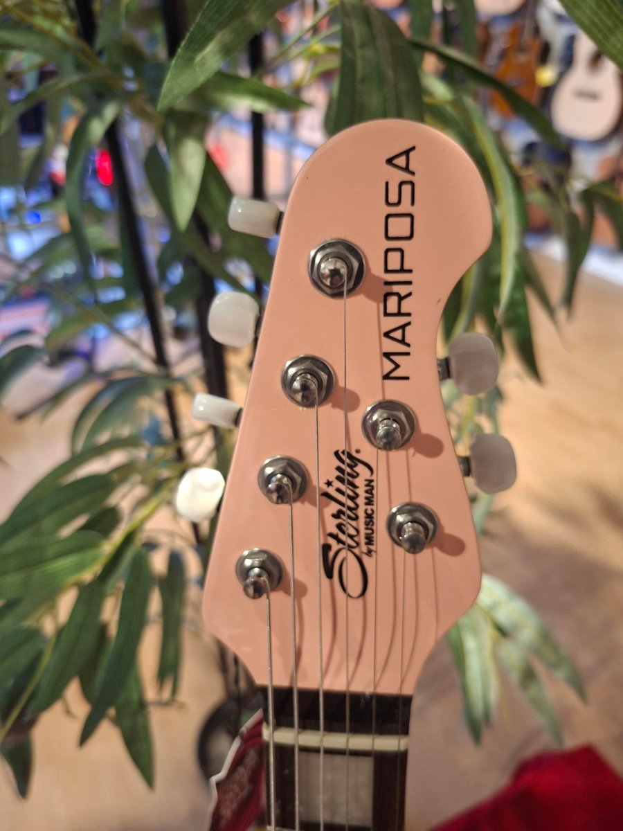 ieslemans's tweet photo. 📷 VIENS L'ESSAYER 📷
Sterling Mariposa
#sterling #guitareelectrique #guitariste #lemans #sarthe https://t.co/kyTLklHzCk