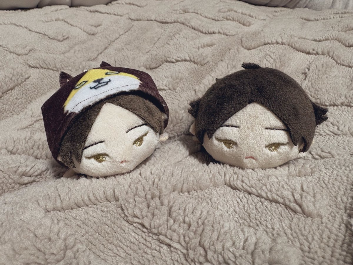 Ryot0k's tweet photo. お、おれがふたりいるー！！！！

新しくお迎えしたもちマスちゃん紹介したらびっくりされました🤣 https://t.co/FFtDgvKaCJ