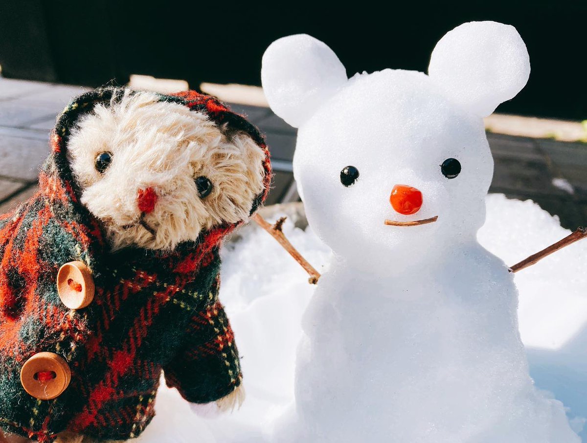 sangatu_panda's tweet photo. #暑すぎるので雪の画像で涼もう見た人もやる 
もっと撮ったはずなのにちみの雪画像1枚しか見つけられなかった❄️ https://t.co/NPvkvJ3Sp5