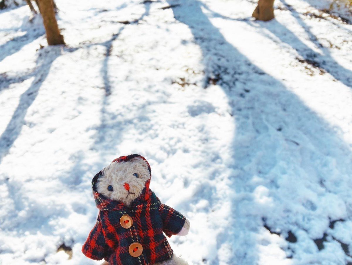 sangatu_panda's tweet photo. #暑すぎるので雪の画像で涼もう見た人もやる 
もっと撮ったはずなのにちみの雪画像1枚しか見つけられなかった❄️ https://t.co/NPvkvJ3Sp5