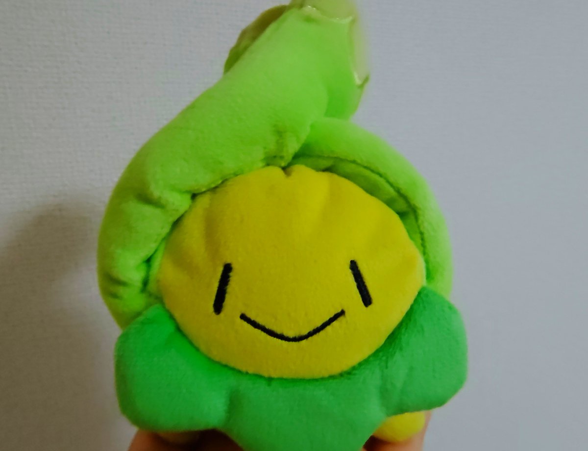 wln0w0's tweet photo. 戦わずして完全王者！
を買いに来たんだが売り切れ…
6階でぼんみぃ🌱をお迎えして帰宅 https://t.co/lkmfmVsAQM