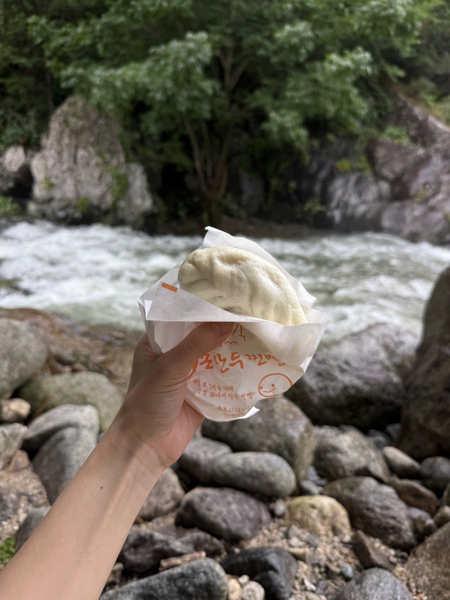 kiiniipiigii's tweet photo. 그리고 가장 중요한거?
이정숙왕손만두찐빵 이 바로 옆입니다.
나만의 속초 루틴

고기만두, 팥찐빵 사이좋게 주문하고, 만두가 쪄지는 동안 커피 사오면 딱이에요.
찐빵 피는 뽕 볼륨감보다는 압축감이 느껴지는 쫀득함이 좋고요, 고기 만두 속은 입자감이 꽤 커서 씹는맛이 아주 좋아요. https://t.co/LGbAM6Qoh6