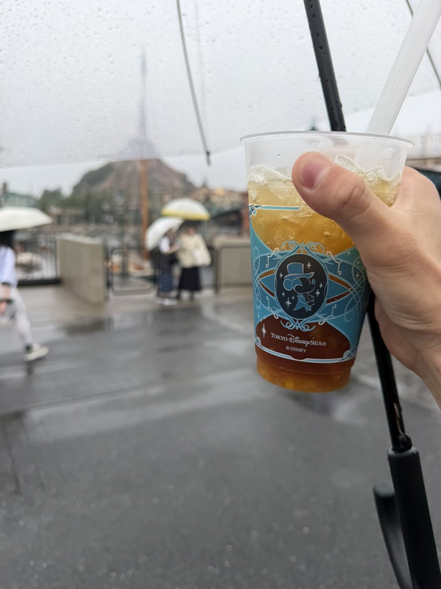kenken22331's tweet photo. この前行ったディズニーシー
台風の中でした https://t.co/15g3eVskfq