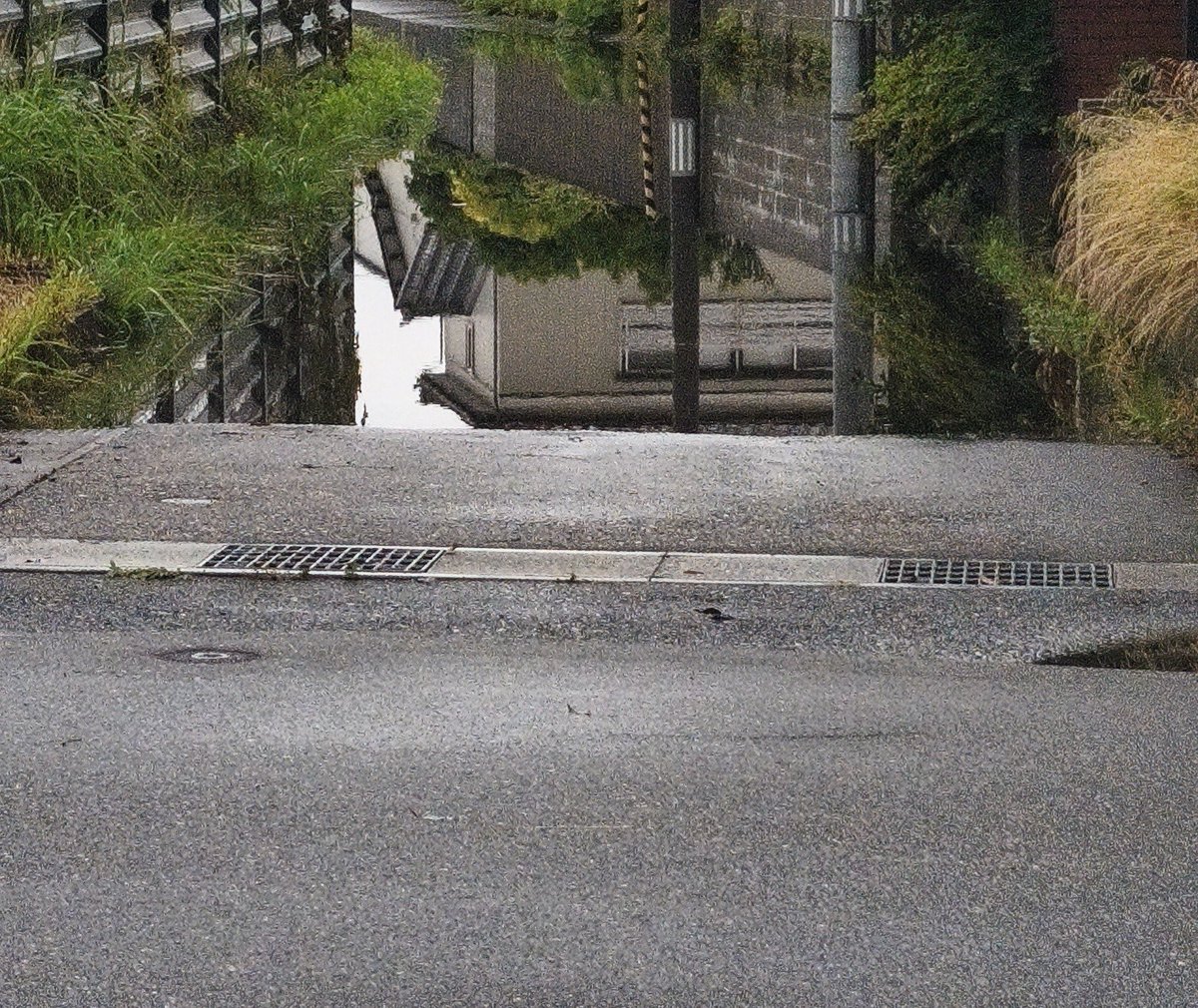 tuna_nya's tweet photo. 家の前も冠水 https://t.co/TjeCr6Bbzw