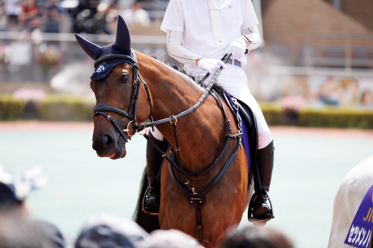 yu_kte's tweet photo. ゴージョニーゴー
2026.7.26 中京競馬場 誘導馬 https://t.co/2EajN4GAY3