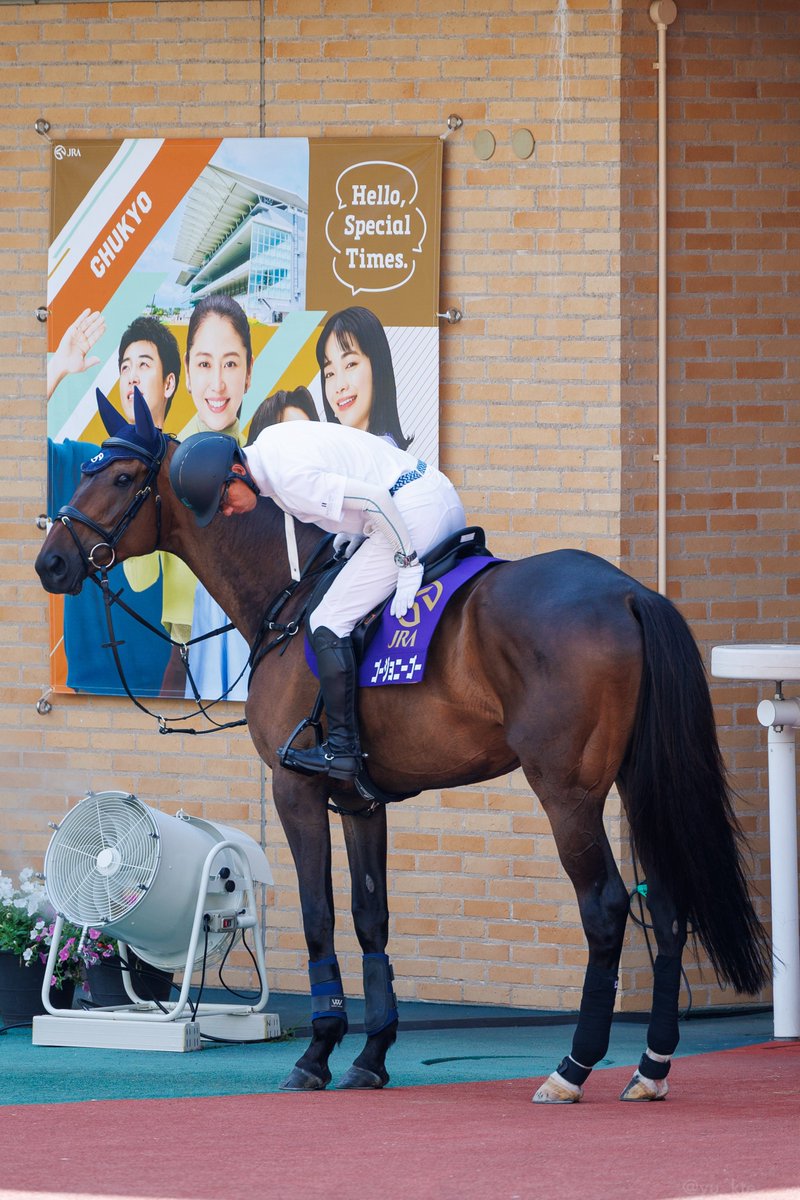 yu_kte's tweet photo. ゴージョニーゴー
2026.7.26 中京競馬場 誘導馬 https://t.co/2EajN4GAY3