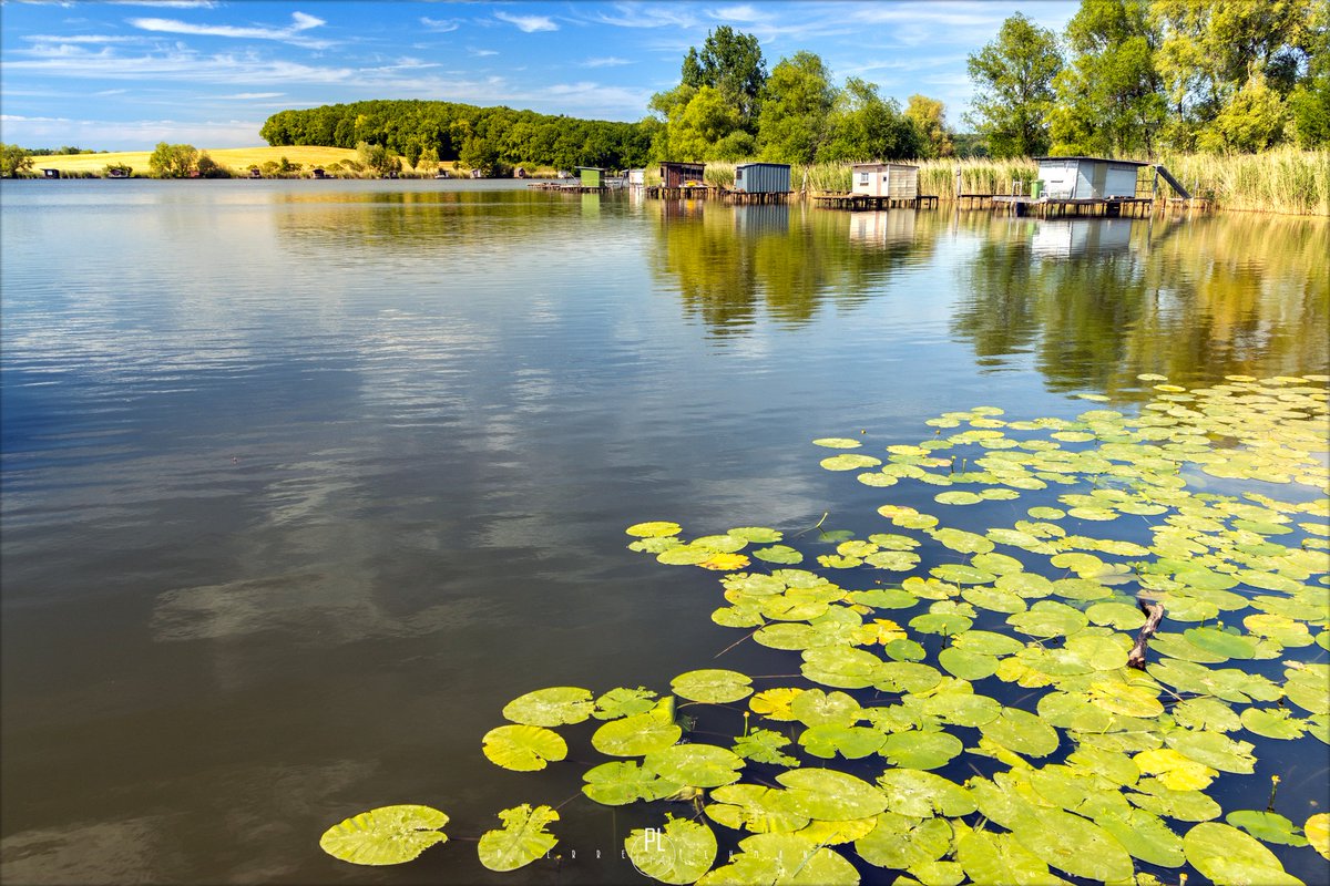 BLE_Lorraine's tweet photo. La photo de la semaine en #Lorraine

Nature et quiétude aux étangs de Puttelange-aux-Lacs 🌳💦

Crédits photo : Pierre LEHMANN pour le Groupe BLE Lorraine https://t.co/T2ZRRzyZFL