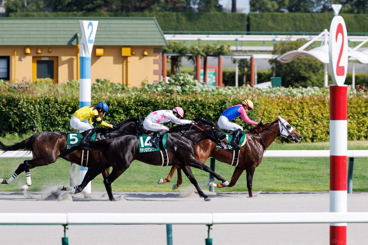 yu_kte's tweet photo. マテンロウコマンド 松山弘平騎手
2026.7.26 中京競馬場 7R 東海S https://t.co/OqqCH6R2i8