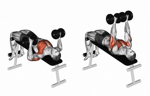 kosciiskora's tweet photo. @edii_015 for me it got visible when i started doing way more chest excercises like bench press for example https://t.co/UuirvVi10M
