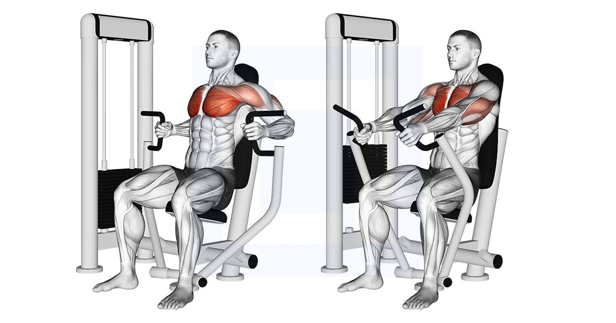 kosciiskora's tweet photo. @edii_015 for me it got visible when i started doing way more chest excercises like bench press for example https://t.co/UuirvVi10M