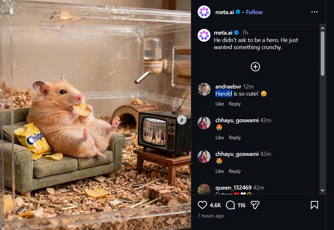 boolishdeployor's tweet photo. This is soo good please read!

META posted yesterday 10times a hamster in their story but havent named it or atleast thats what we thought but i found the name!

Meta's Social Media Marketing Manager just gave a name for the hamster "HAROLD"

checked his profile etc and everything links

https://t.co/HgQF3b8UwJ

https://t.co/dCvQuukL8j

https://t.co/KIrcSRR9BM

the stories:
https://t.co/kti6dWcPGE