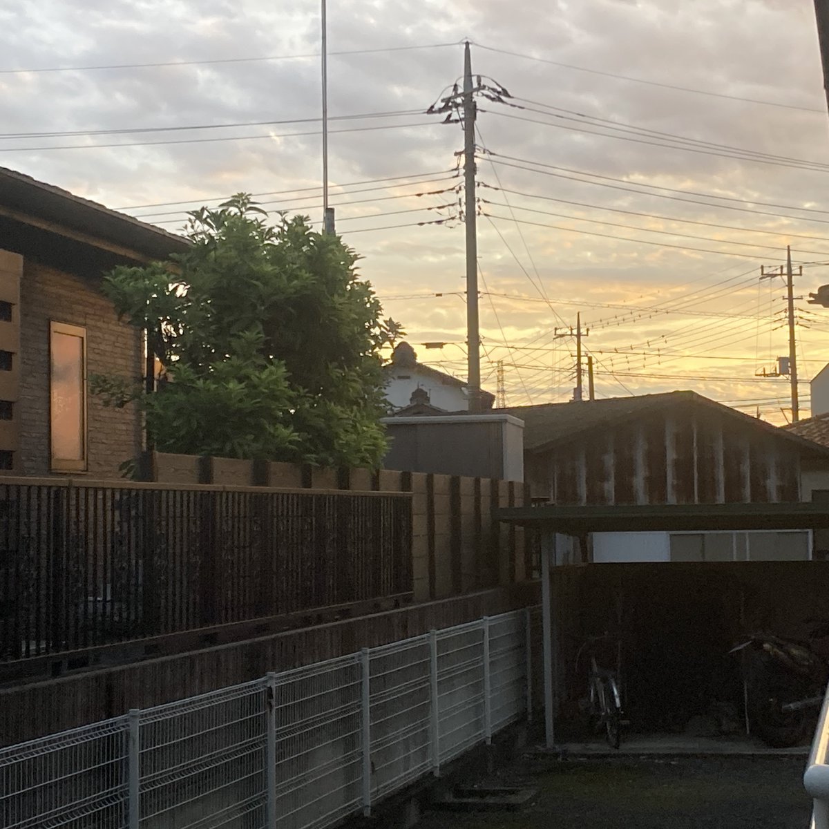 Schu@縮退運転中 tweet media