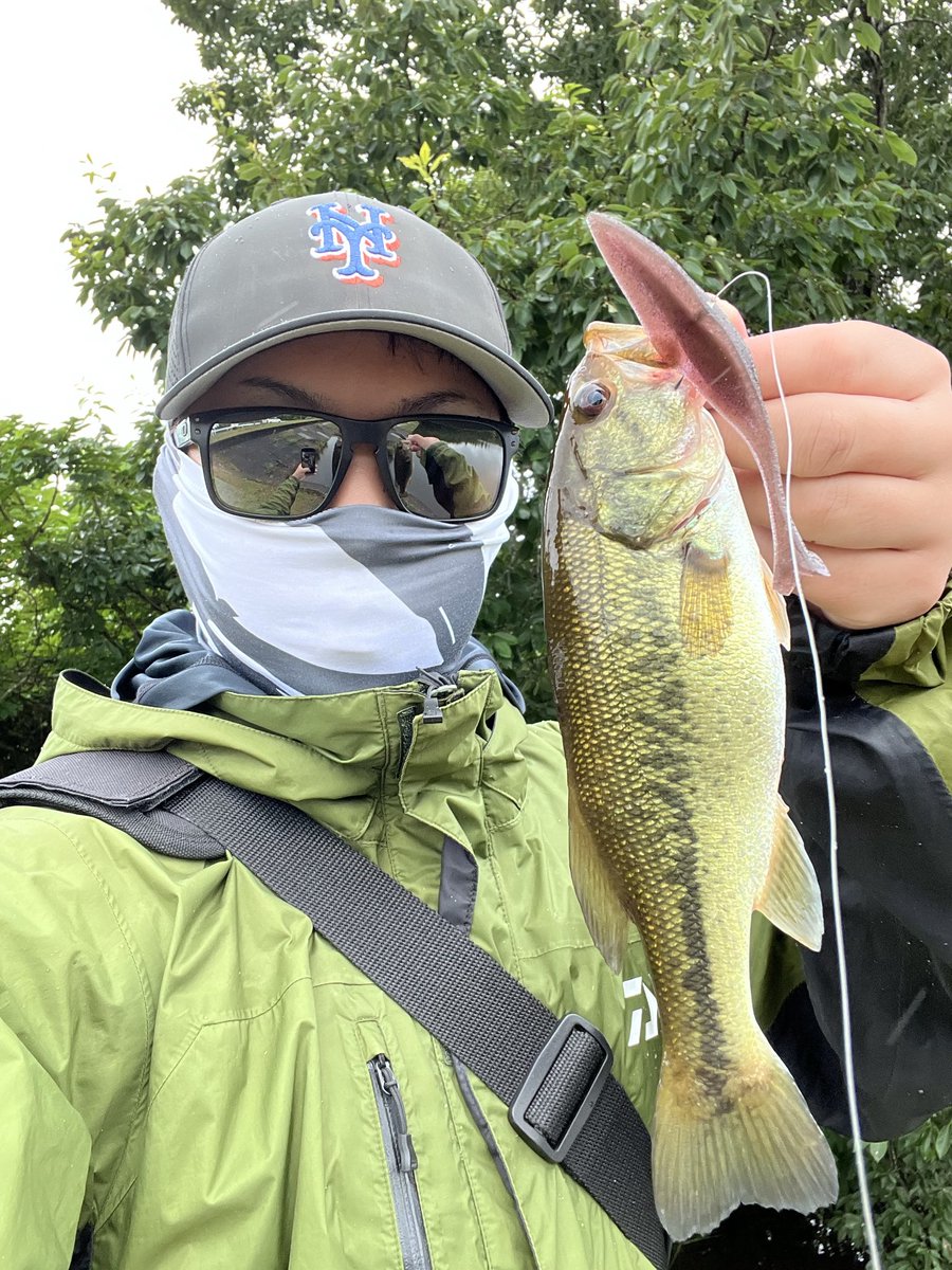 YU8949784177186's tweet photo. 本日の釣行です！🎣

#Monkfish と #BOKO70 ネコリグを使用🔥

岸際やカバー周りを丁寧に探っていくと…

コンスタントにバイトが続き、
テンポ良く数を伸ばすことができました👍

サイズには恵まれませんでしたが、
数釣りを存分に楽しめた一日となりました✨

#BUTZ
#BUTZbassfishing
#バス釣り https://t.co/yQam46EcSg