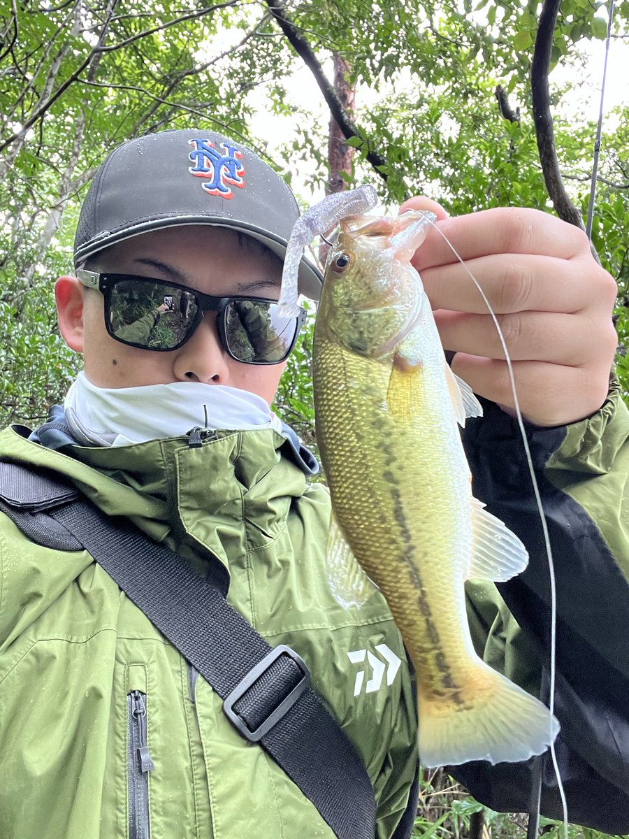 YU8949784177186's tweet photo. 本日の釣行です！🎣

#Monkfish と #BOKO70 ネコリグを使用🔥

岸際やカバー周りを丁寧に探っていくと…

コンスタントにバイトが続き、
テンポ良く数を伸ばすことができました👍

サイズには恵まれませんでしたが、
数釣りを存分に楽しめた一日となりました✨

#BUTZ
#BUTZbassfishing
#バス釣り https://t.co/yQam46EcSg