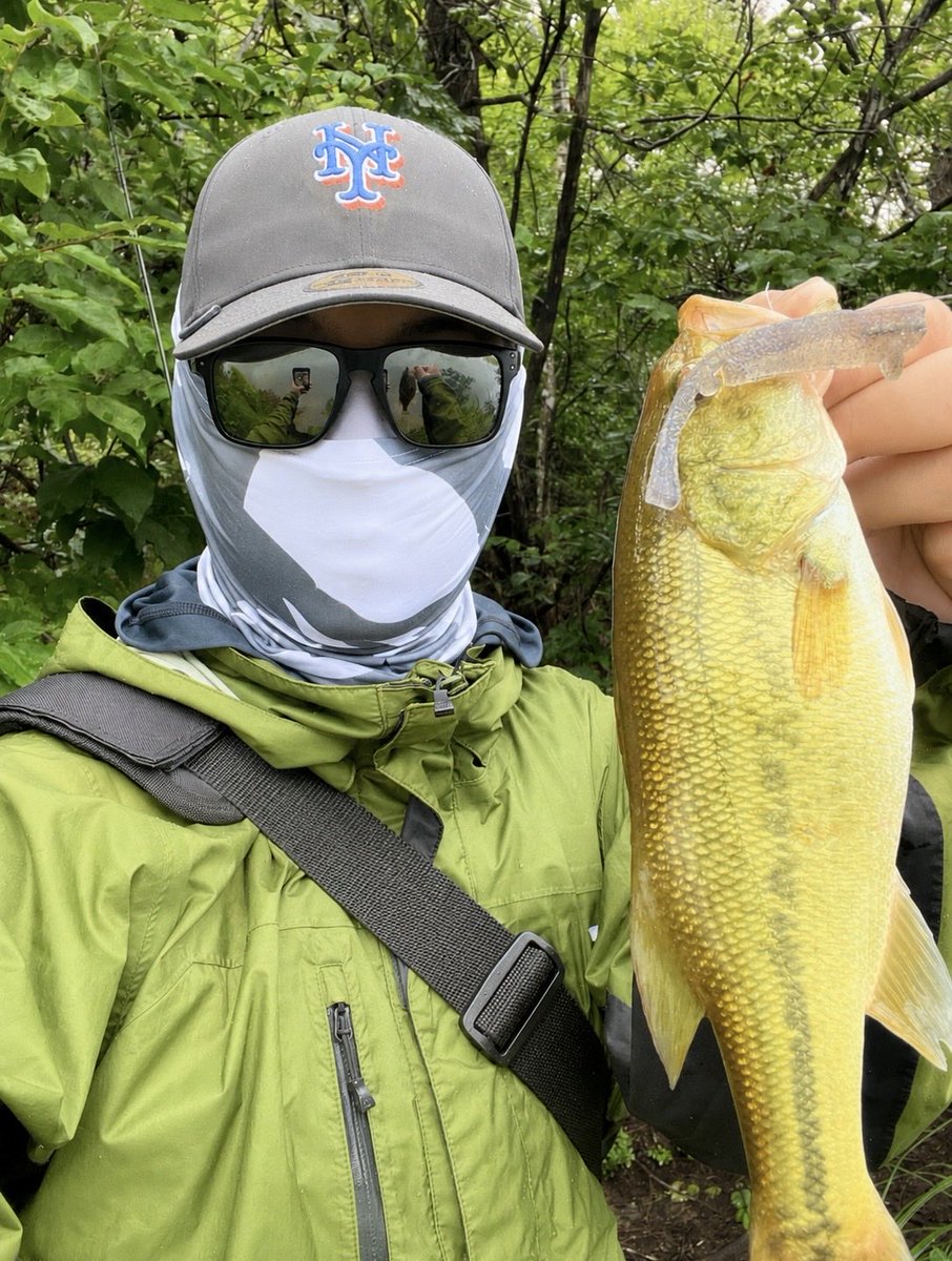 YU8949784177186's tweet photo. 本日の釣行です！🎣

#Monkfish と #BOKO70 ネコリグを使用🔥

岸際やカバー周りを丁寧に探っていくと…

コンスタントにバイトが続き、
テンポ良く数を伸ばすことができました👍

サイズには恵まれませんでしたが、
数釣りを存分に楽しめた一日となりました✨

#BUTZ
#BUTZbassfishing
#バス釣り https://t.co/yQam46EcSg