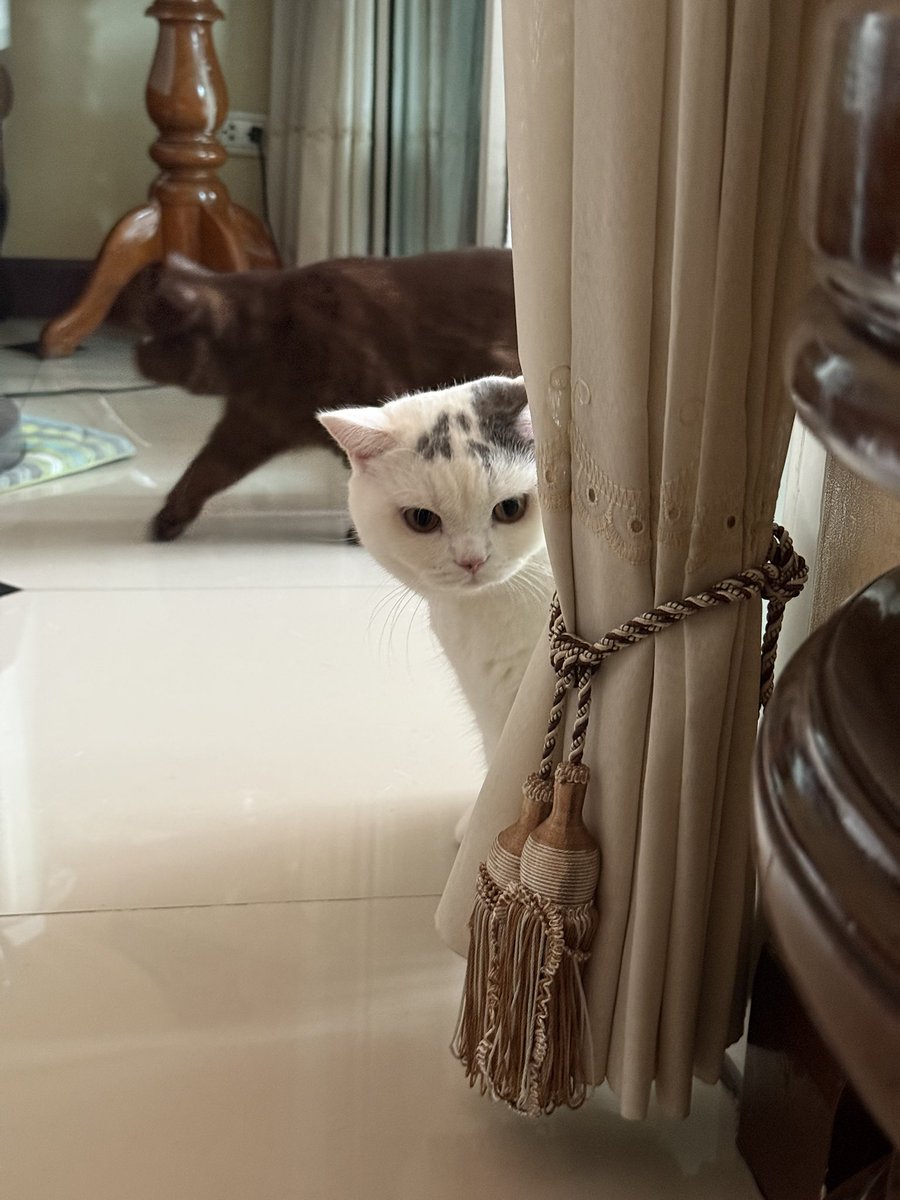 yoojeenoo's tweet photo. ชีแอบ ชีอยากเล่น https://t.co/Nht4yFyLKi