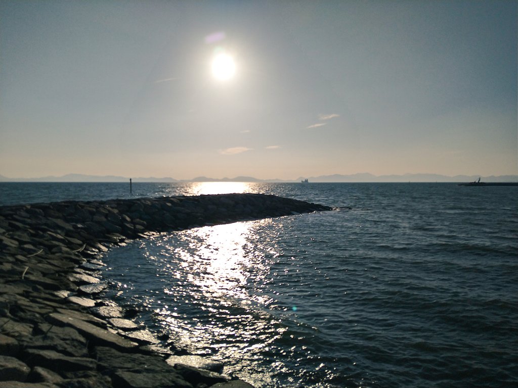 Hituzimoe's tweet photo. 釣りに行ってきました。
ダイソースプーンで謎の根魚が釣れました(⁠≧⁠▽⁠≦⁠)
この子はソイでしょうか??
カサゴとは少し違うような気が…

#釣り https://t.co/C0MkbjZ6Z1