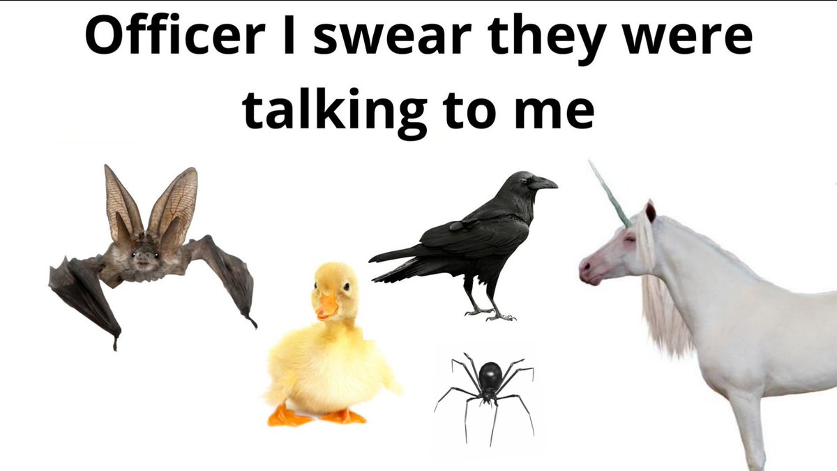 cerealien_'s tweet photo. almost two weeks without qsmp I don't know if I can take it anymore https://t.co/uQusIABB0h