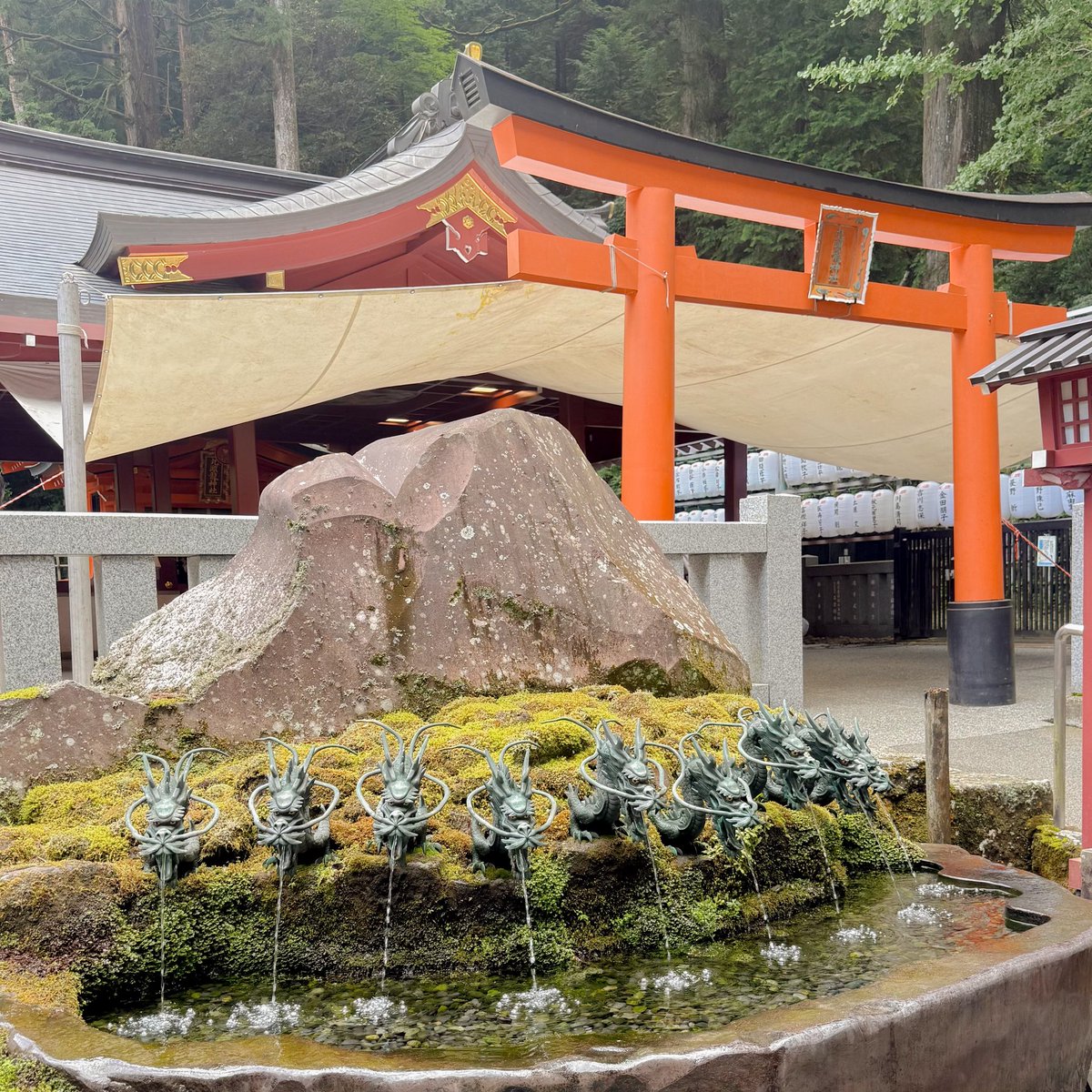 orangeholic_'s tweet photo. お気に入りのjouetieコラボのジャケットを着て箱根旅行へ⛩️♨️お参りして、温泉入ってきれいな空気浴びて、心整ったなぁ、、、ということで今から旅行早退してだれアソ舞台挨拶行く！今度は呪われます！待っててねおすず！
#だぁれかさんとアソぼ？ #鎮西寿々歌 https://t.co/AebjQ34a5c