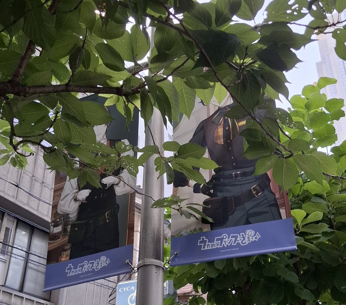 Miku_utpr0807's tweet photo. 大阪のフラッグ、瑛二くんとヴァンさんだけ撮るの難易度高すぎませんか笑 瑛二くんはまだ何とか撮れたけどヴァンさんほとんど葉っぱ💦 https://t.co/1OnmqBmBoN