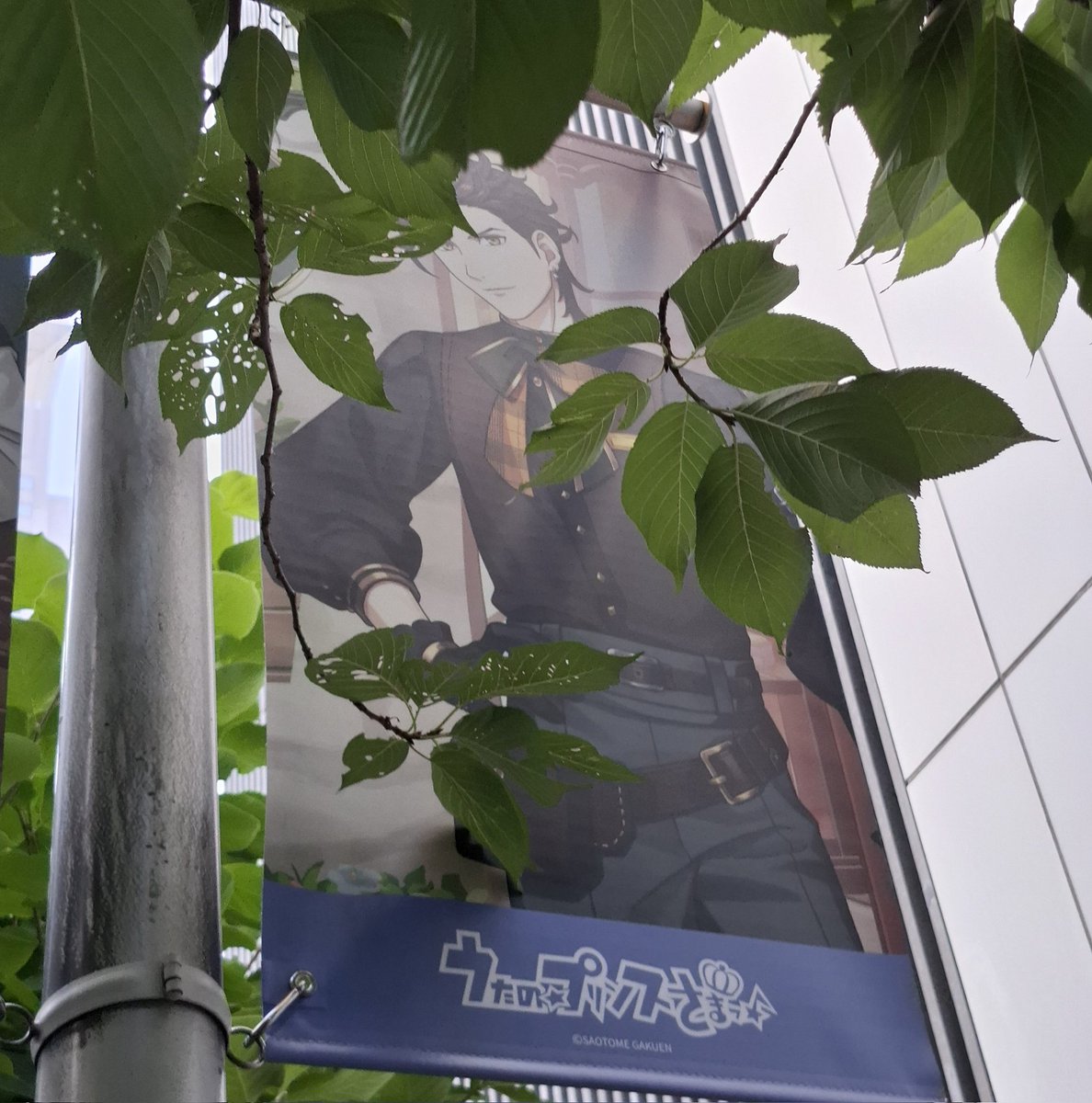 Miku_utpr0807's tweet photo. 大阪のフラッグ、瑛二くんとヴァンさんだけ撮るの難易度高すぎませんか笑 瑛二くんはまだ何とか撮れたけどヴァンさんほとんど葉っぱ💦 https://t.co/1OnmqBmBoN