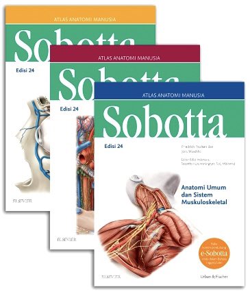 corneeans's tweet photo. wts want to sell preloved buku Sobotta atlas anatomi bhs indonesia edisi 24
lokasi: Semarang
🏷️ 900k
masih clear no coretan, cek condi by dm 
#wts #wanttosell #preloved #buku #zonaba #zonauang https://t.co/jZIpUqftxe