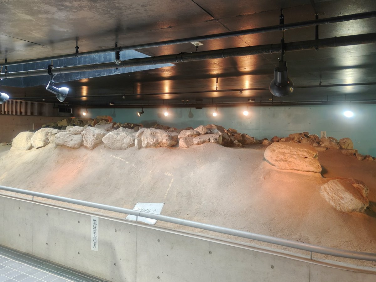 mononofu5's tweet photo. 博多小学校の石塁遺構を見学。元寇防塁（石築地）と推測され、発掘時長さ53m、高さ1.4m、幅約3.4m。

鎌倉期、文永の役でここ息の浜（沖ノ浜）に総大将・少弐景資が本陣を置き、元・高麗軍を迎え撃ったという。

また室町〜江戸期の屋敷跡、中国製や朝鮮製の陶磁器・銅銭、日本製の土器・瓦等が出土。 https://t.co/w7Y1Swqnps