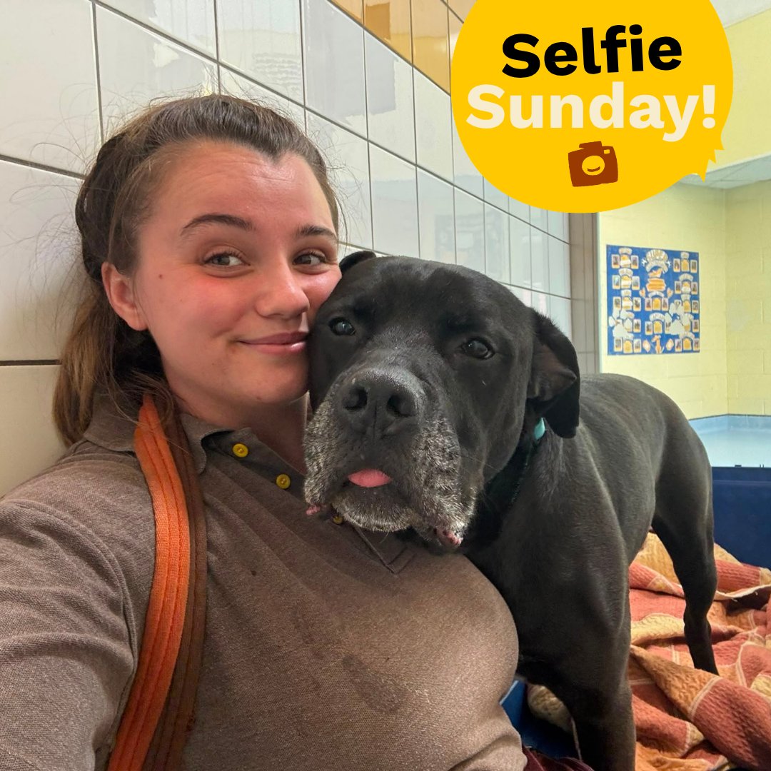 DT_Kenilworth's tweet photo. Conan's here with a snuggly #SelfieSunday this week. ππΆ
#RescueDog #Adopt #Rehome #Crossbreed #LabCross #INeedAHome https://t.co/BqDEmgJTRp