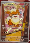 pokebeach's tweet photo. Growlithe and Groudon Illustration Rares from "Storm Emeralda"!

Check out this article on PokeBeach for all the details:

➡️ https://t.co/HF20LGYipq https://t.co/augNvDQQze