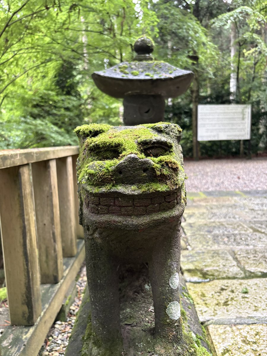 five_masa's tweet photo. 大室高龗神社は、栃木県日光市大室に鎮座する、厄除け・病気平癒・心願成就にご利益がある古社です。ここの狛犬が角刈りのようなユニークな髪型とがっちりした体つきが特徴的な石像です。
#大室高龗神社
#狛犬 https://t.co/4ochYD69tO