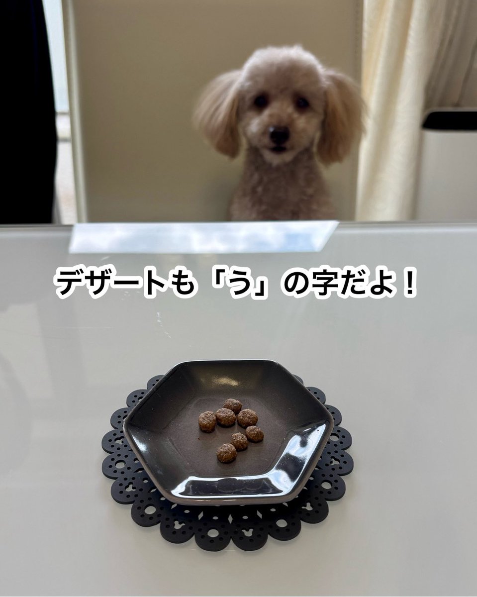 yuumi_sa's tweet photo. #土用の丑の日
#ふるさと納税返礼品
#単身赴任一時帰宅
#おうち大好き
#トイプードル https://t.co/8aQRugKYGF