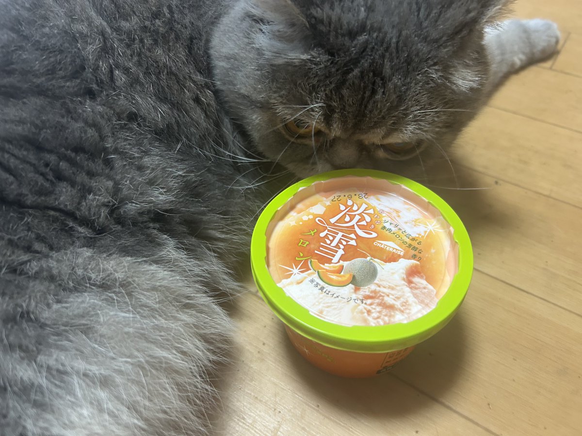 GojappePappy's tweet photo. 今日も淡雪 https://t.co/7Yv0Dh0D64