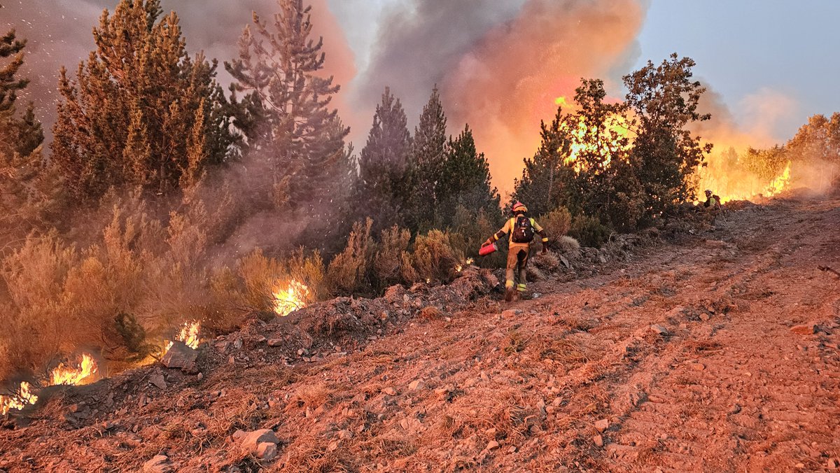 UGTForestaisGZ's tweet photo. @AxentesGz @incendios085 @AlfonsoRuedaGal @Incendiosgalic1 @LumesGal @BrifLaza @incendiosgalxxi @Xunta @APRAFOGA @ppdegalicia @jpicos13 @AEAFMA @AT_Brif @apamcyl @briftabuyo @El_Batefuegos @Gconfidencial @PauCostaF @ferrandalmau78 @SPDCIF @BBFFugtGALICIA @IncendiosES @IncendiosForesA @AAMM_Spain @UGTForestales @gn_habitat @EL_ICONA O compromiso de todos ten que ser revertir esta situación. Pódese! Débese! É vital! https://t.co/HnXpqZrd1t