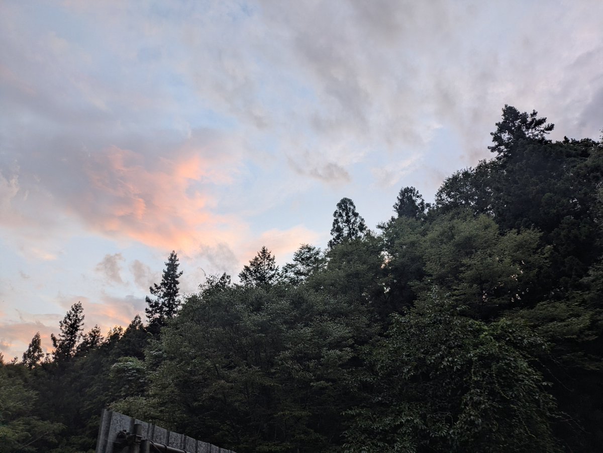 sanarin0220's tweet photo. 今日もよく動きました。

働けました。 https://t.co/VdkMxuyOBJ