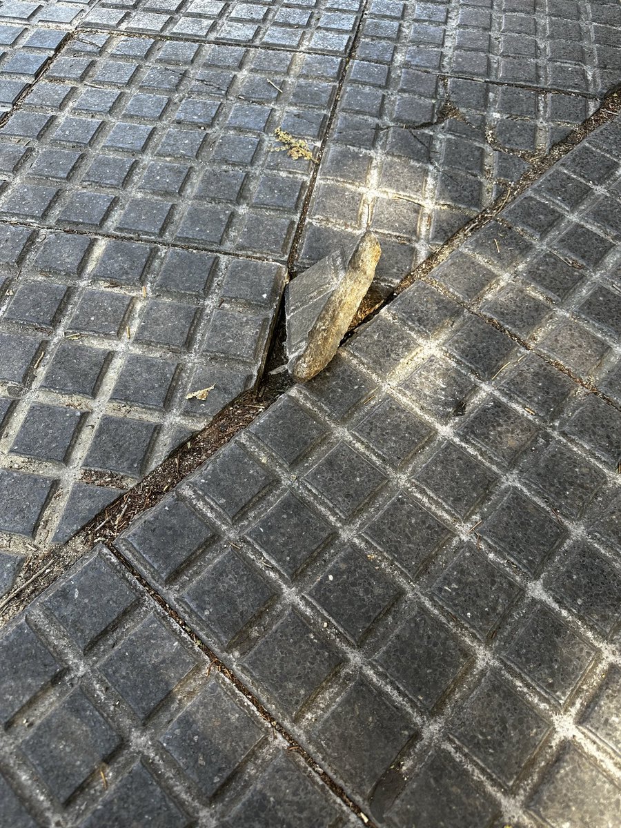 danicarbonero_'s tweet photo. @AytoLeganes @CarlosULEG @marecuencopp así está la acera en el cruce de la calle monegros con la avenida Juan Carlos I, junto al súper bazar. Es un peligro para todos, pero sobre todo para los mayores, nosotros casi nos caemos https://t.co/EOC3OoQiLh
