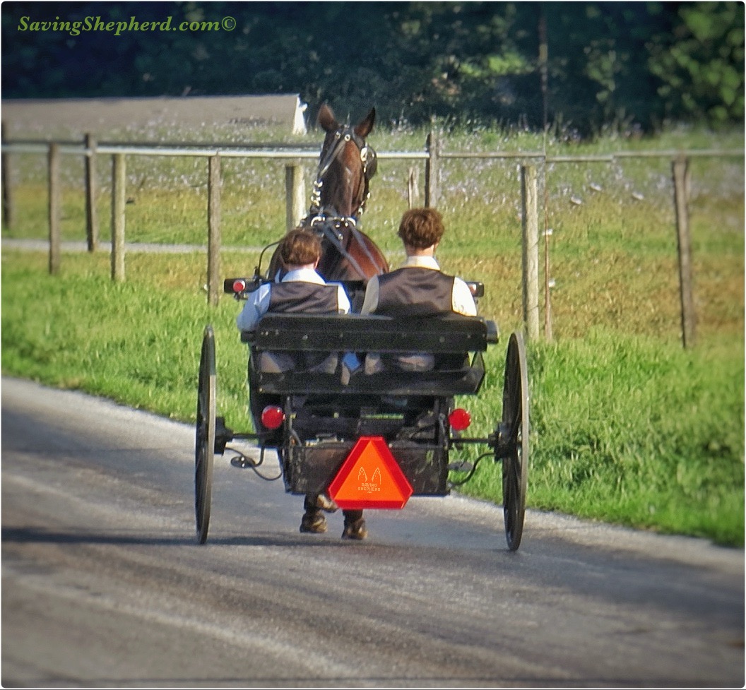 SavingShepherd's tweet photo. “The most important journey of the week is the 1 that reminds us why the other 6 matter.”
~ #SavingShepherd
#faith #sundayvibes #quoteoftheday #Amish #life #photooftheday #motivation #service #worship #sunday #inspiration #quotes #simplelife #landscape #amishlife #horse #travel https://t.co/nXrrD6iWf1
