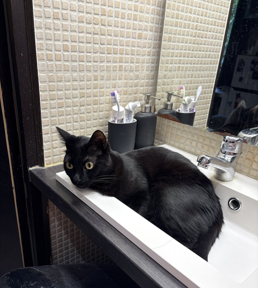 Tipunchdutpb's tweet photo. Toujours avec mon garde du corps au cas où je me fasse attaquer par le monstre de la salle de bains 👹 https://t.co/KR59CpV2In