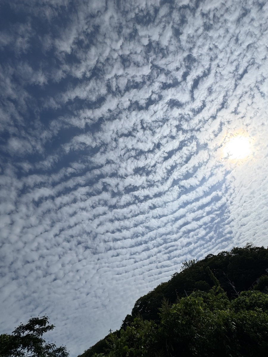 rokko_shizen's tweet photo. 今朝　夏には珍しく波状雲(高積雲)が現れた。
#波状雲 https://t.co/BRD96o4Tz6