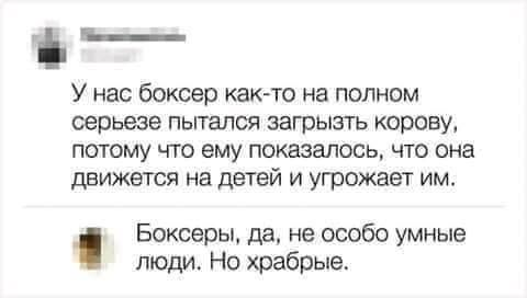 moonkan_lj's tweet photo. На тему одного недавнего скандала нашлось https://t.co/cbRiNhUncy