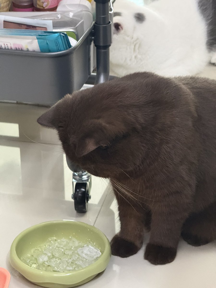 yoojeenoo's tweet photo. น่ารัก แบบโอ้ยน่ารัก ดูขาชี https://t.co/CKXDtc36oq